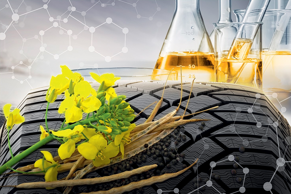 С шипами или без: о нюансах выбора шин для зимы — Авторевю